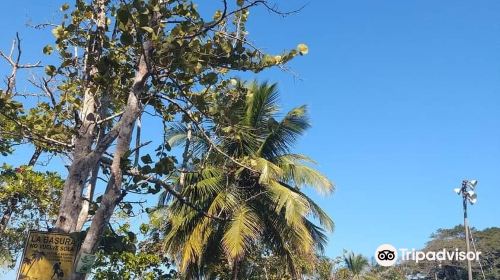 Manzanillo Beach