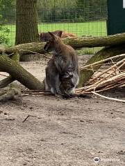 kinderboerderij Dondertman