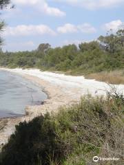 Plage de la Mère Dieu Plage de la Mere Dieu