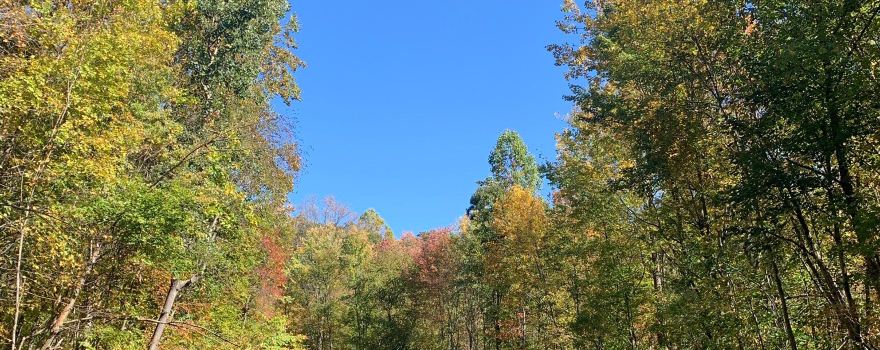 Wanaque
