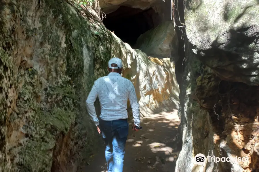 Anthropological Reserve of Cuevas del Pomier