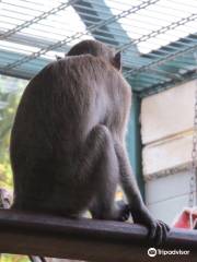 メンヒェングラートバッハ動物園