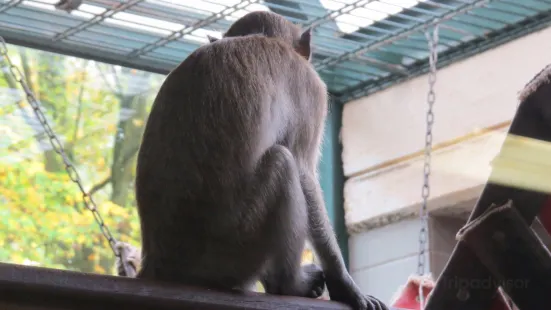 メンヒェングラートバッハ動物園