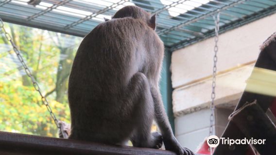 Tiergarten Monchengladbach