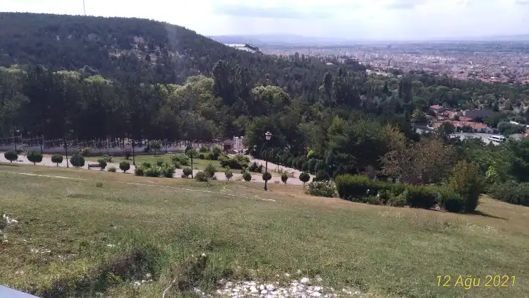 Odunpazarı
