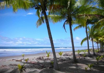 Playa Bejuco