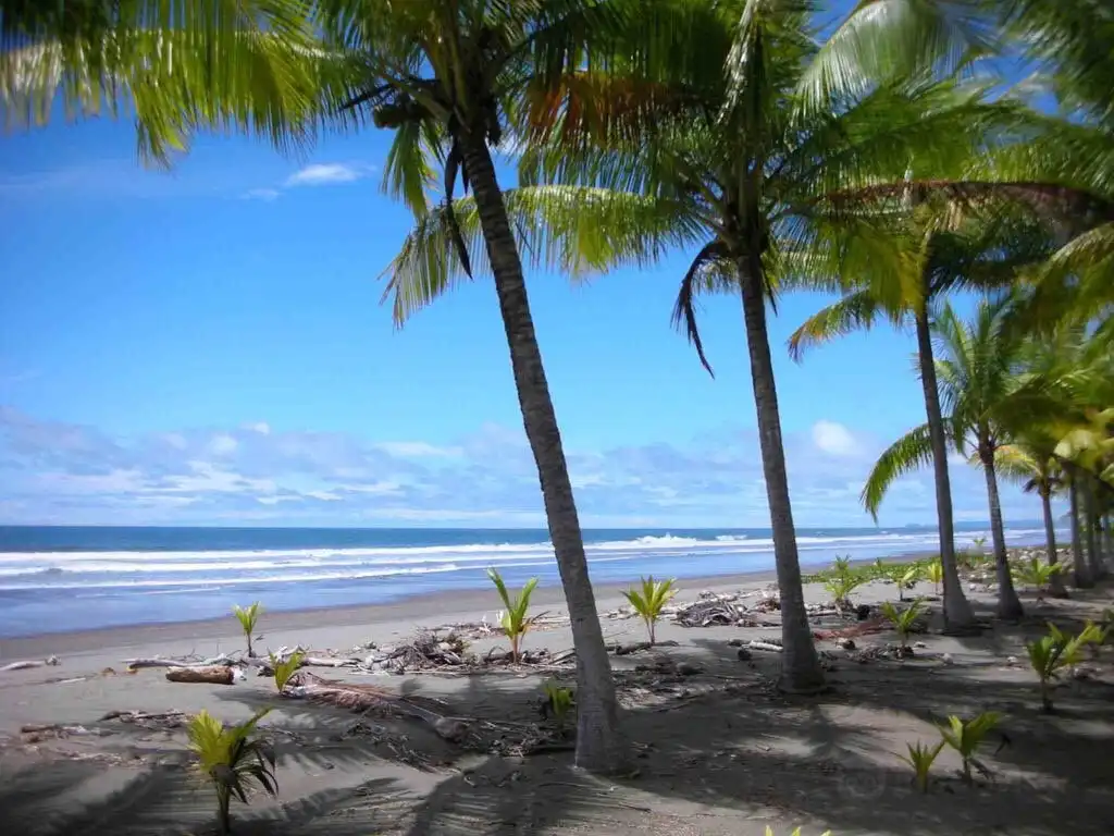 Hotels in der Nähe von Bejuco Beach