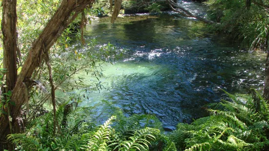 Pupu Hydro Walkway Trailhead