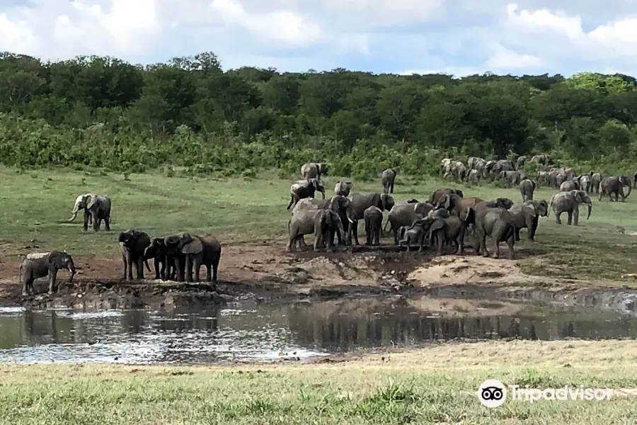 African Exodus Safaris