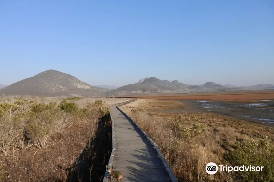 Morro Bay National Estuary