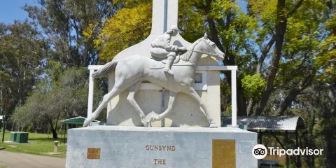 Gunsynd The Goondiwindi Grey