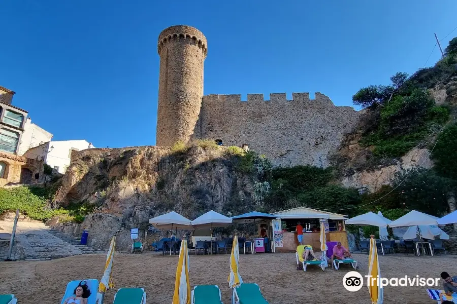 Es Codolar beach