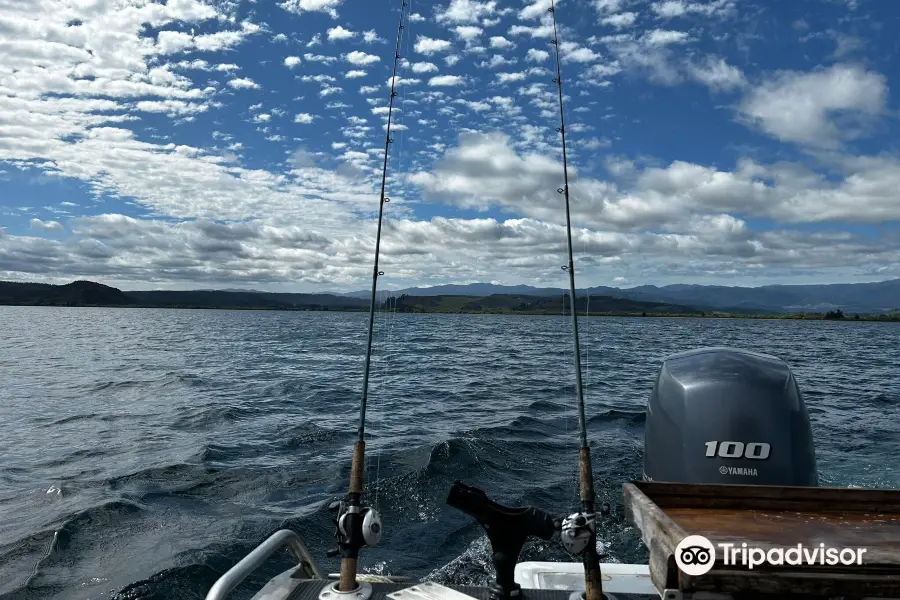 Whiskery Mike's Turangi Trout Connection