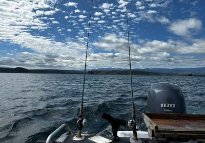 Whiskery Mike's Turangi Trout Connection