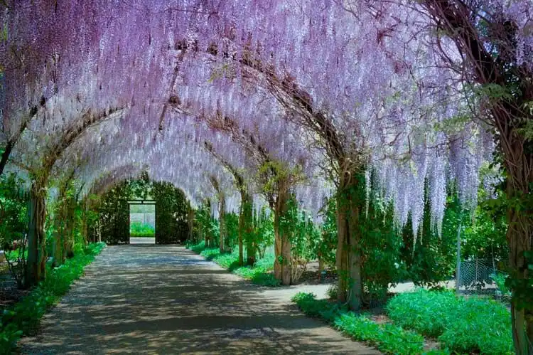 Hotels near Alowyn Gardens