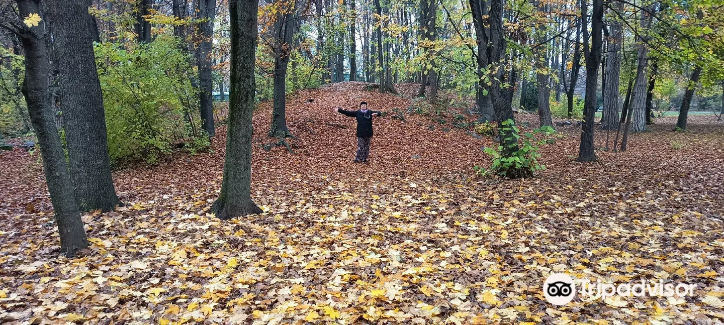 3_"Dimitrie Brândză" Botanical Garden