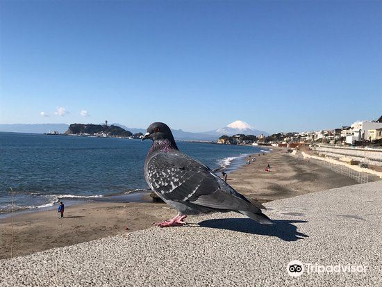 湘南海岸聖地巡禮遊記攻略 Trip Com遊玩攻略 湘南海岸聖地巡禮遊記攻略 Trip Com遊玩攻略
