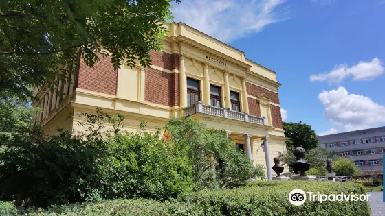 錫比烏自然歷史博物館