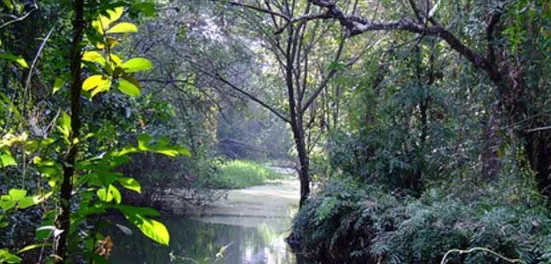 Kumarakom Bird Sanctuary