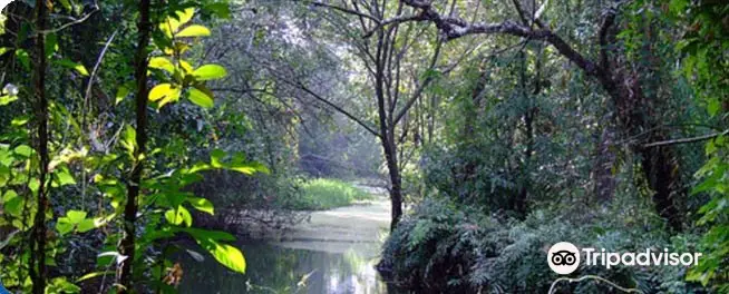 Kumarakom Bird Sanctuary