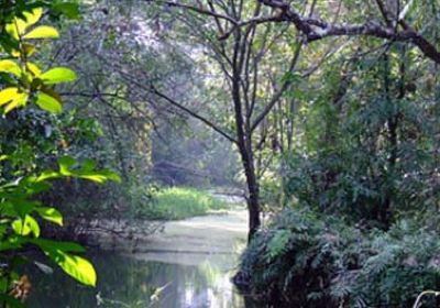 Kumarakom Bird Sanctuary