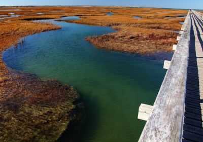 Bass Hole Boardwalk