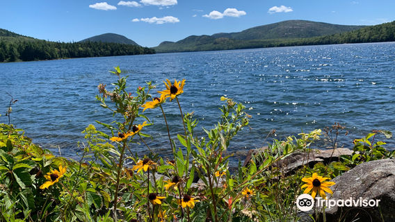 Bar Harbor Bicycle Shop