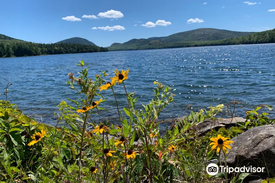 Bar Harbor Bicycle Shop