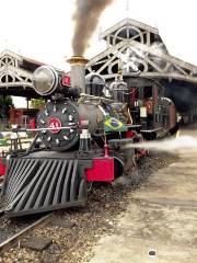 Smoking Mary Minas' Vintage Steam Trains