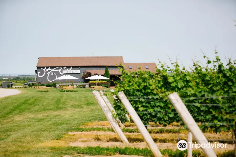 Thirty Bench Wine Makers