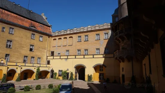 Zamek książęcy w Oleśnicy
