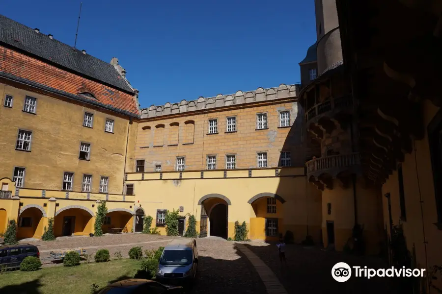 Zamek książęcy w Oleśnicy