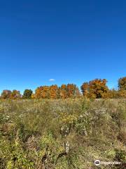 Beartown Lakes Reservation