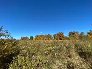 Beartown Lakes Reservation