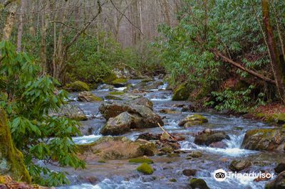 Lamar Alexander Rocky Fork State Park