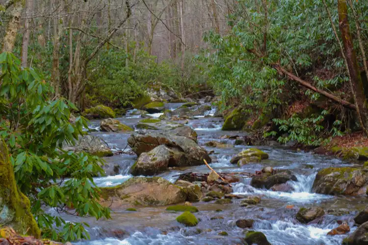 Các khách sạn ở Unicoi County