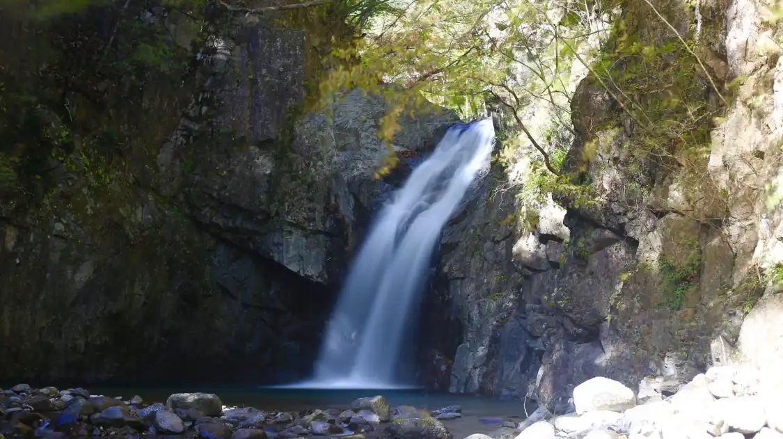 Hotels near Kusagyu Otaki