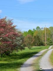 University of Tennessee Arboretum, Oak Ridge