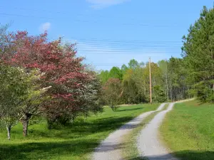 University of Tennessee Arboretum, Oak Ridge