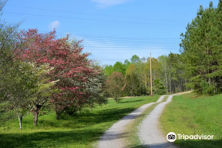 University of Tennessee Arboretum, Oak Ridge