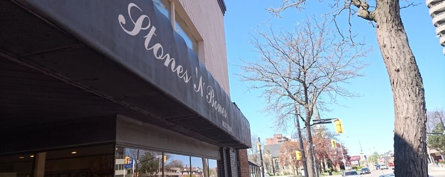 Stones 'N Bones Museum- Temporarily Closed