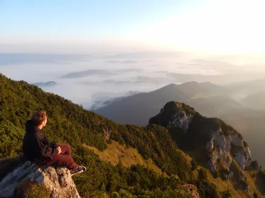 ドルニー・クビーン