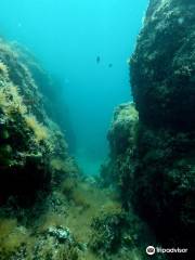 Lagona Divers