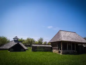 Muzeul Viticulturii şi Pomiculturii Goleşti