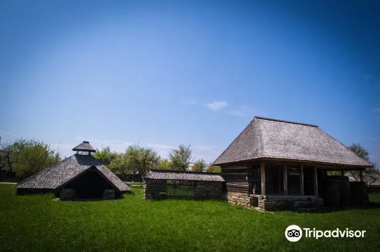 Muzeul Viticulturii şi Pomiculturii Goleşti