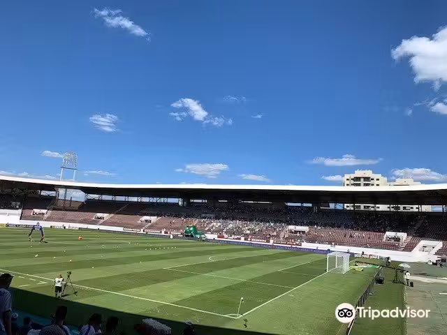 Vluchten ${{cityDName}} Sao Carlos
