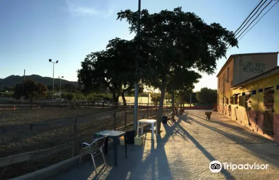 Club Hipico Benissa安達盧西亞馬和佛朗明哥表演成人