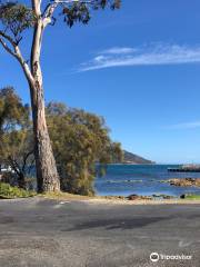 Coles Bay Jetty