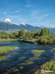 Montana Angler Fly Fishing