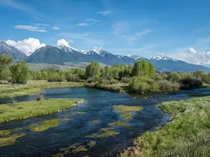 Montana Angler Fly Fishing